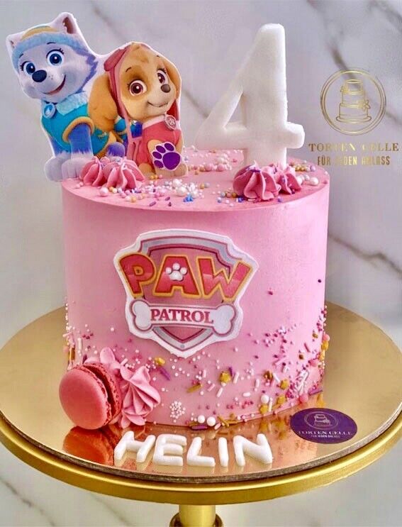 Paw Patrol Pink Edible Icing PRE-CUT Cake Topper 4 INCH / 5 INCH ...